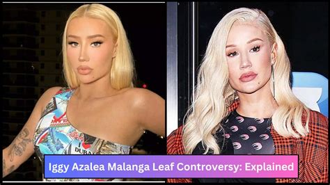 iggy iggy azalea|iggy azalea controversy.